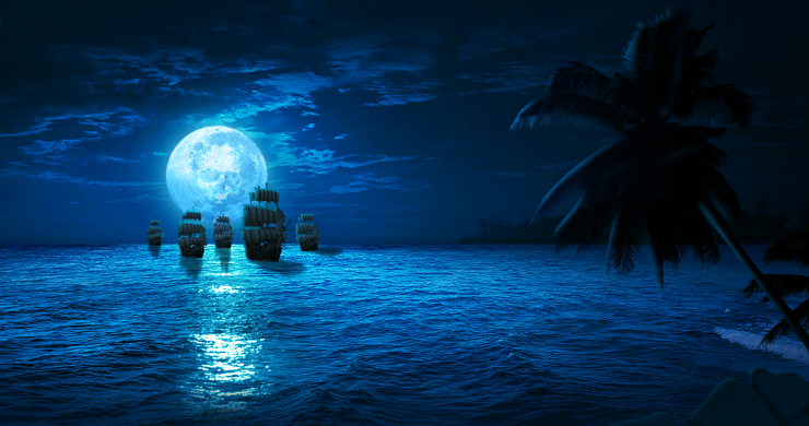 Piraten visual